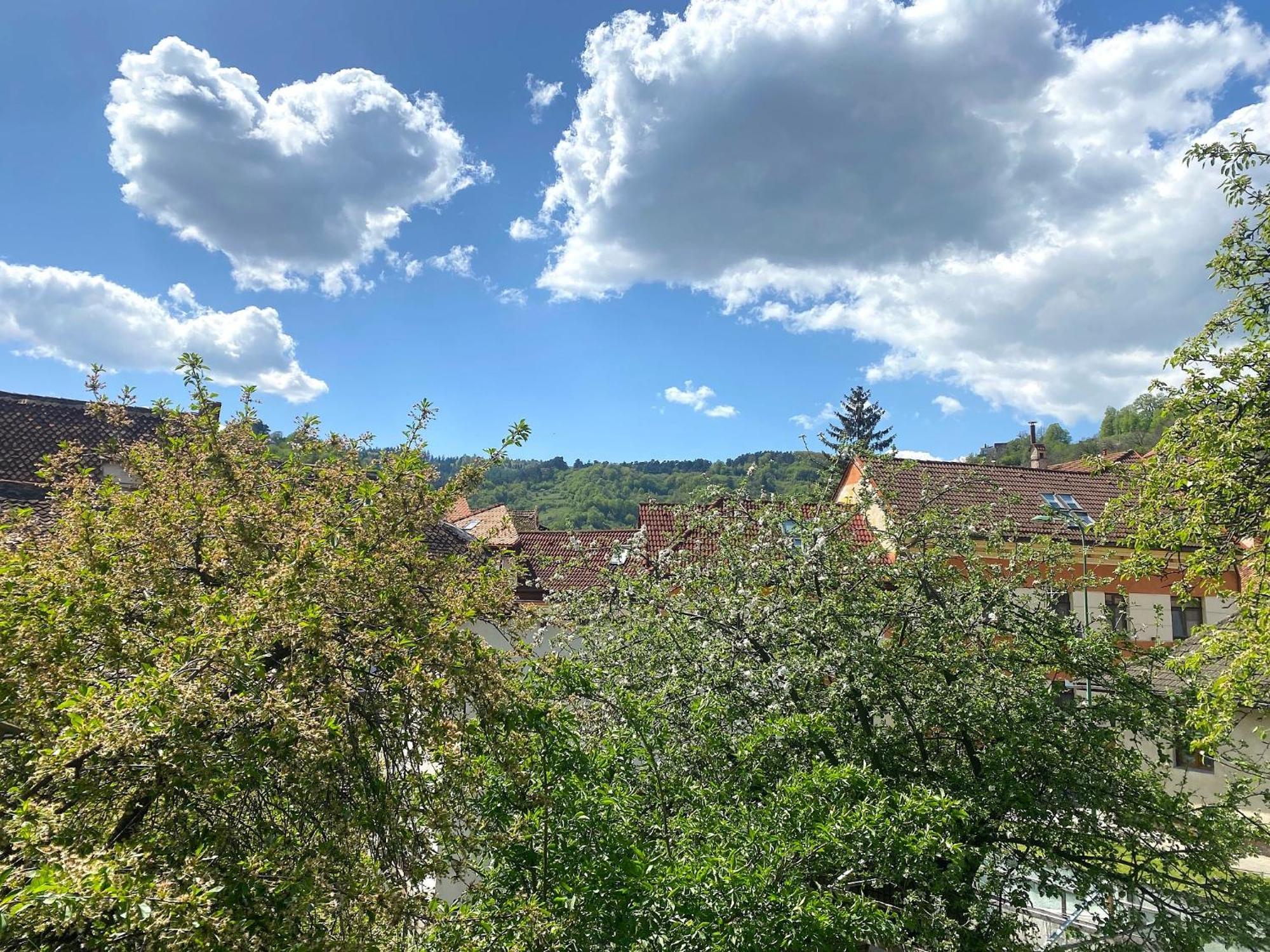 Rose'S Oldtown Apartment Brașov Exterior foto