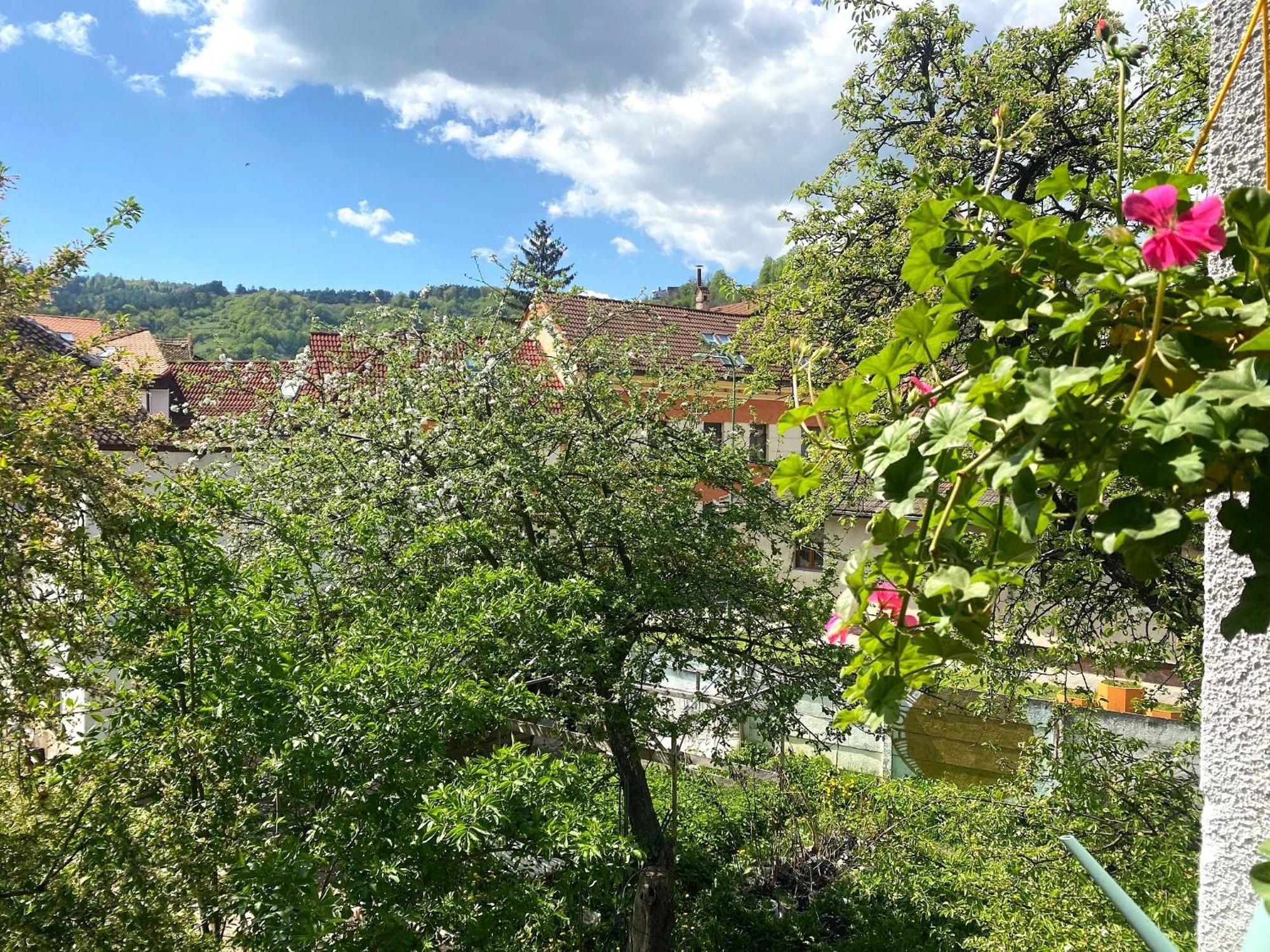 Rose'S Oldtown Apartment Brașov Exterior foto